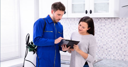 pest control inspection