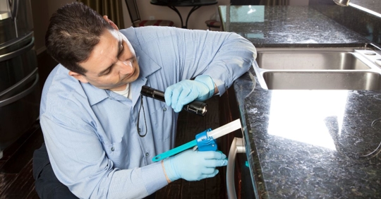 commercial pest control