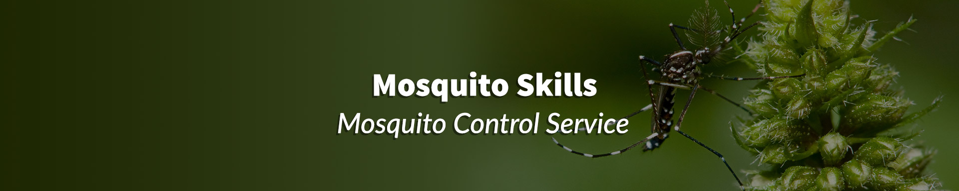mosquito control header