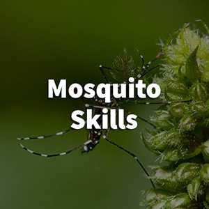 mosquito skills