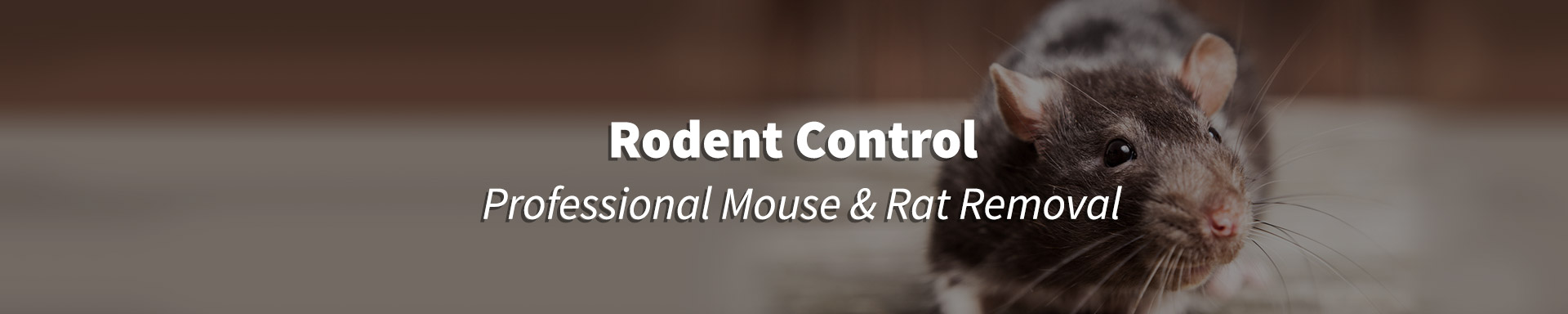 rodent control header