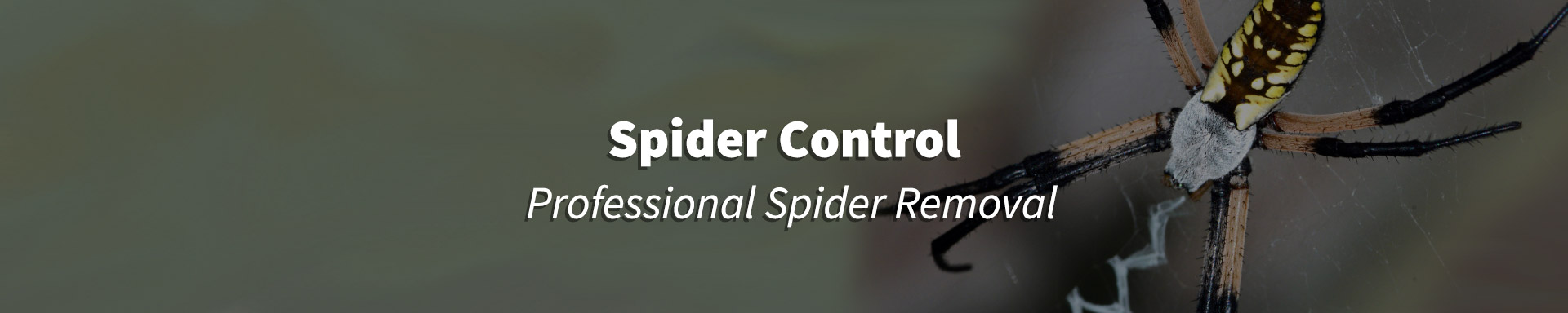spider control header