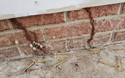 How to Identify Termite Damage and Prevent Infestations